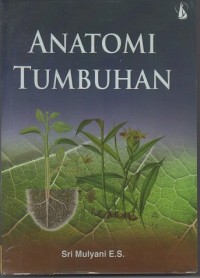 Image of Anatomi Tumbuhan